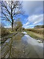 Floodwater on dismantled railway