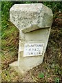 SW9146 : Old Milestone north of crossroads to Golden by Rosy Hanns