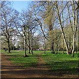 TL4856 : Cherry Hinton Hall Park: 'Tree Tumblers' by John Sutton