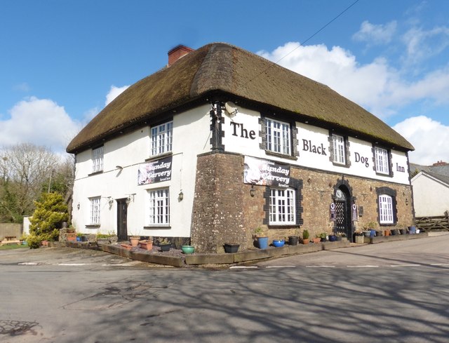 The Black Dog Inn, Black Dog © Roger Cornfoot cc-by-sa/2.0 :: Geograph