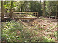 Rainwater storage ditch, Holland Park