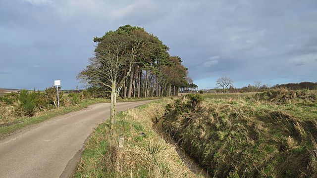 Minor Road near Kirkton