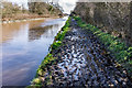 Muddy Towpath, Shropshire Union Canal