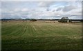 Fields behind the abbey