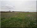 Grass track, Martin Moor