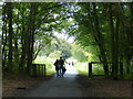 Fife Coastal Path at Dalgety Bay