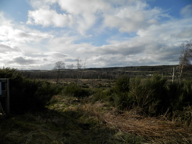 Cleared scrubland above Croygorston