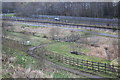 Footbridge, Central Valley LNR