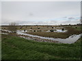 Flooded field with bales