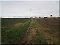 Drain, Billinghay Fields