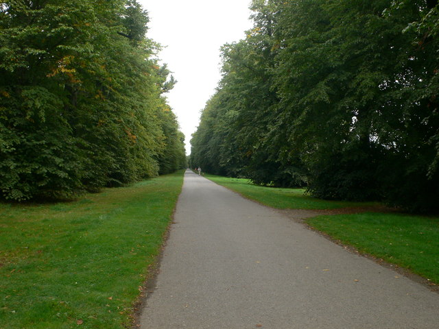 The avenue of Castletown House, Celbridge.