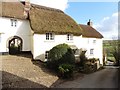 Thatched cottages, West Worlington