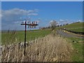 The A5270 near Chelmorton Flatt Farm