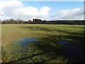 Wet field on Measbury Moor