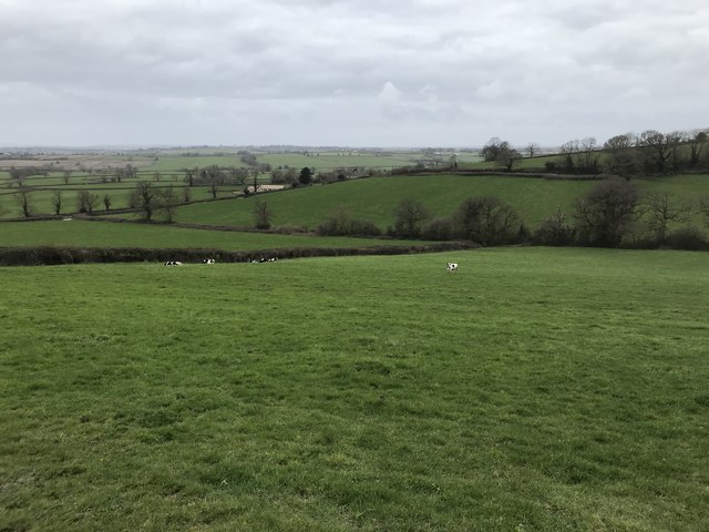 Green fields near Dyrham