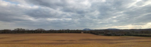 Fields near Broadwas