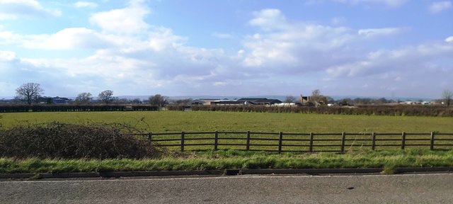 Capehall Farm