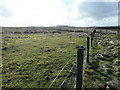 NY9718 : Open access moorland south-west of Fiddler House by Christine Johnstone