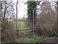 TQ3299 : Footpath and stile near Enfield by Malc McDonald