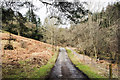 Road climbing towards Shildon