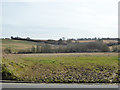 Farmland south of B1066 near Hartest