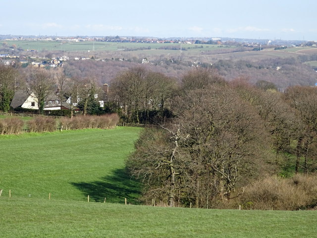 Grazing and woodland near the M62... © JThomas :: Geograph Britain and ...