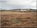 Dead bracken and commercial premises on Oakleaf Close