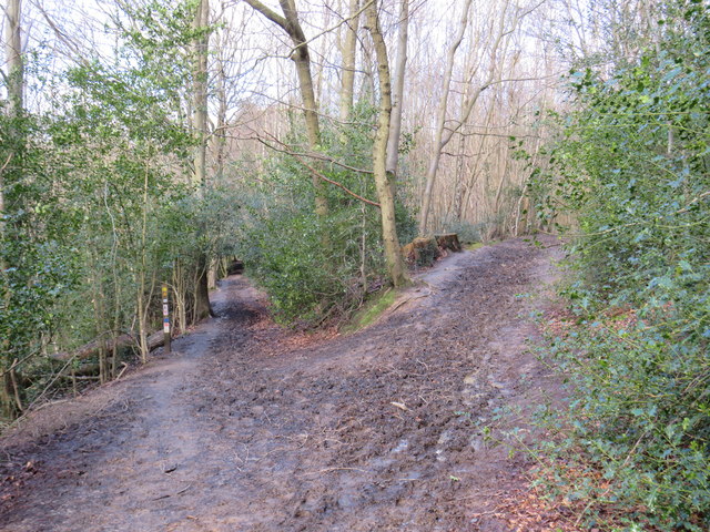 Footpath and bridleway near Speldhurst