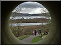 SK2451 : On Stones Island, Carsington Water by Neil Theasby