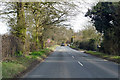 Road towards Thurston