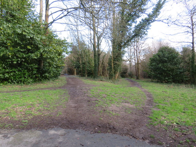 Paths on Tunbridge Wells Common
