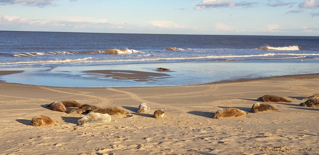 Beach at Horsey Gap © Christine Matthews cc-by-sa/2.0 :: Geograph ...