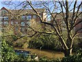 Grand Union Canal at the Cape, Warwick