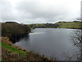 Llyn Frongoch