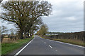 A134 towards Thetford