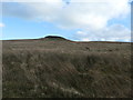 NY9517 : Open access moorland below Goldsborough by Christine Johnstone