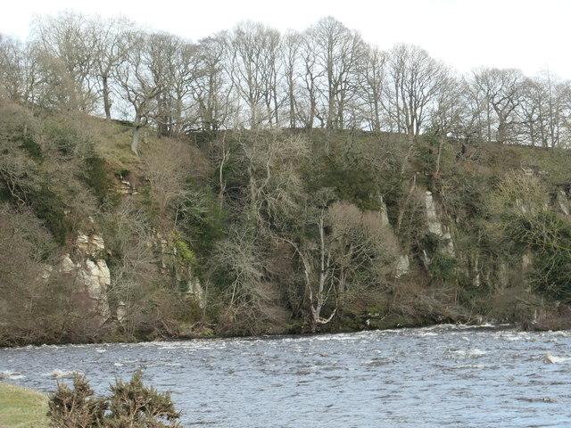 River cliff below Shipley Wood