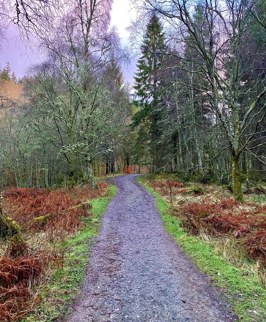 Path to Conic Hill