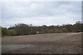 Arable land adjacent to Shut Heath Wood