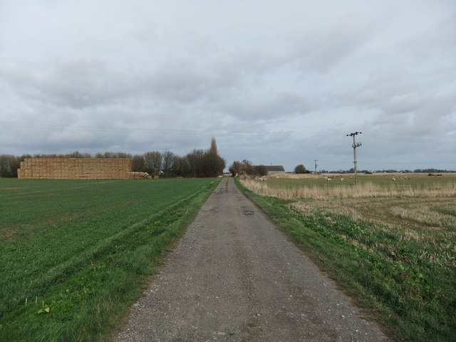 Track to Biergate Farm