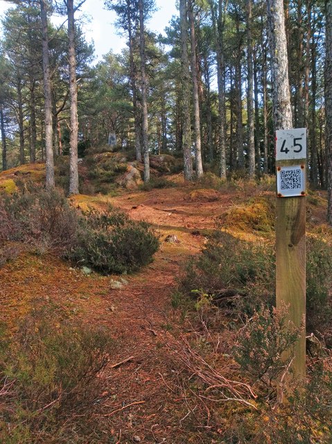 Orienteering course marker post, Ord Hill, Inverness-shire