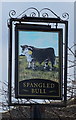 Sign for the Spangled Bull, Earlsheaton