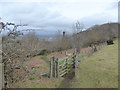 Footpath above Snailbeach and it