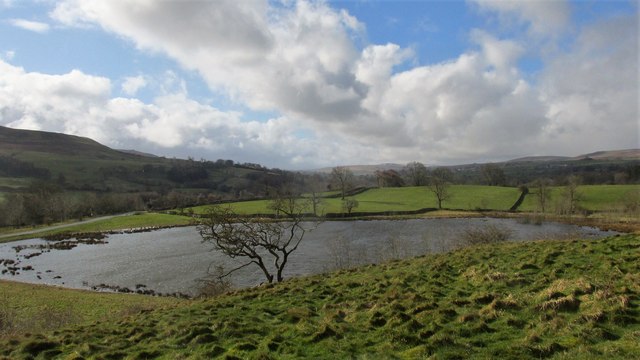Pinker's Pond