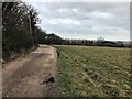 The Midshires Way on Crow Wood Hill