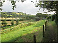 B.A.Way  footpath  toward  Newstead