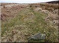 SS8343 : Black Barrow, South prehistoric stone row by Sandy Gerrard