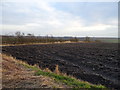 Ploughed field off Batley Road