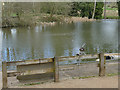 Trentham Gardens: fairy on the fence