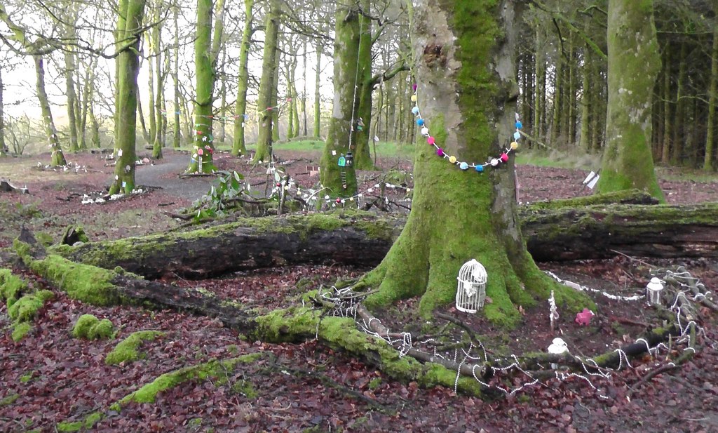 Fairy Village in Darkley Forest © Sean Davis :: Geograph Ireland